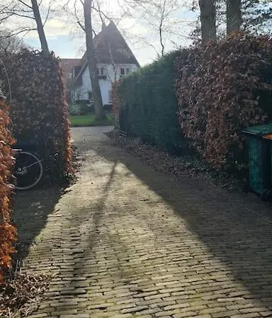 Little Lovely Apartamento Bergen