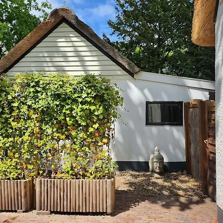 Little Lovely * Bergen